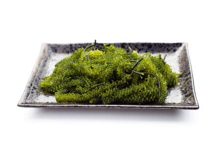 Sea grape seaweed on wihte background.