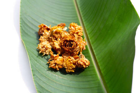 Dried jasmine flowers. Herbal teaの写真素材