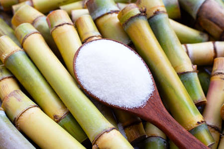 Sugar with sugar cane on white background.の写真素材