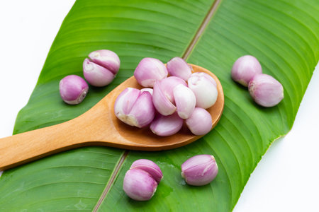 Fresh shallot on green leaf