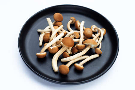 Yanagi Matsutake mushroom on white background.の写真素材