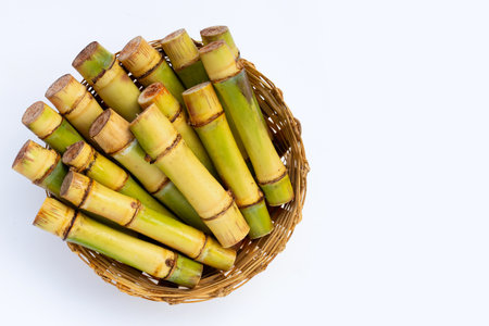 Sugar cane on white background.の写真素材