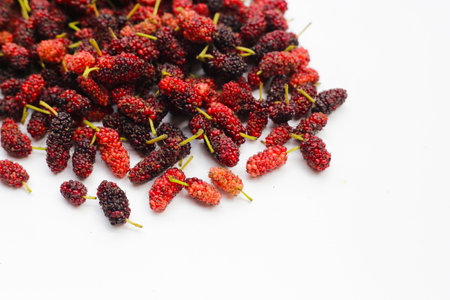 Fresh mulberry on white background.の写真素材