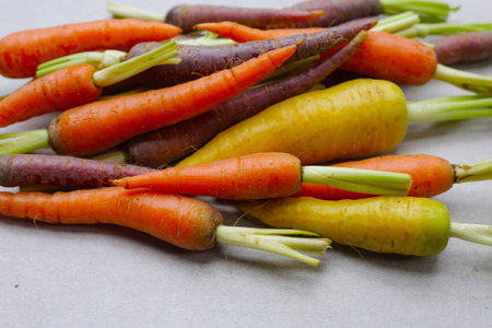 Fresh carrot vegetables, Ripe carrotsの写真素材