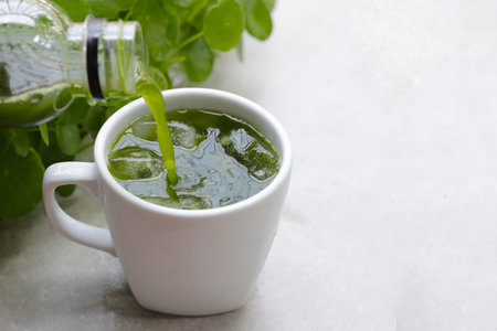 Herbal juice drink, Fresh green centella asiatica leaves or water pennywort plant or gotu kola.の写真素材