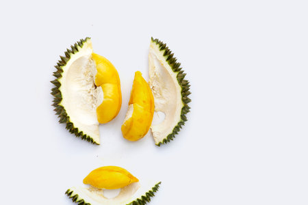 Ripe durian fruit, Thai tropical fruitの写真素材