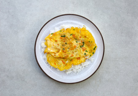 Thai style omelet with riceの写真素材