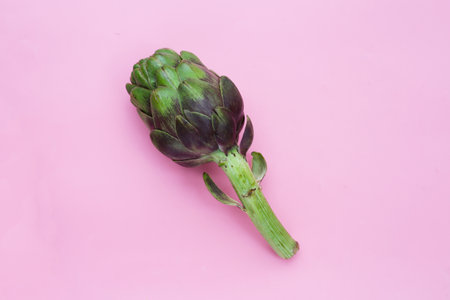 Purple artichoke on pink background.の写真素材