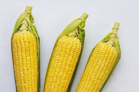 Sweet corn, Fresh yellow cornの写真素材