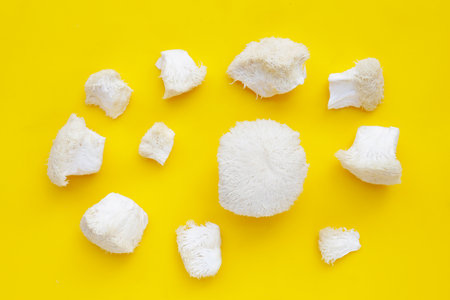 Fresh lion's mane mushroom on yellow background. (Yamabushitake Mushroom)の写真素材