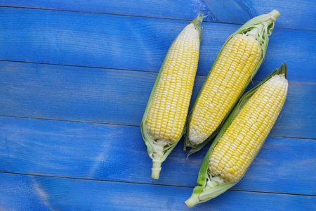 Sweet corn, Fresh yellow cornの写真素材