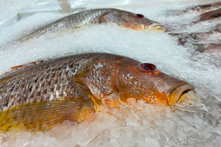 Fresh fish for sale on a bed of ice at a seafood market