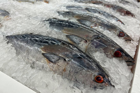 Fresh fish for sale on a bed of ice at a seafood marketの写真素材