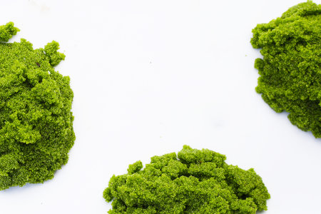 Fresh water alga, water meal or swamp algae