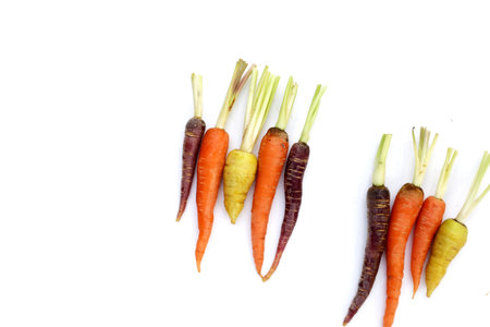 Fresh carrot vegetables