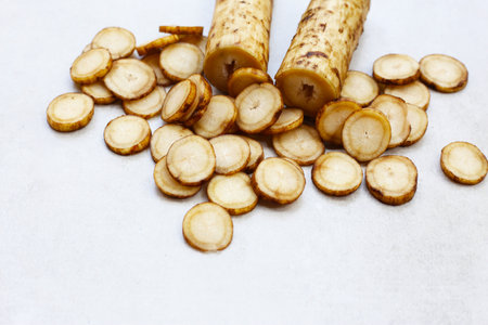 Fresh burdock roots or gobo rootsの写真素材