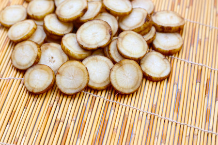 Fresh burdock roots or gobo roots