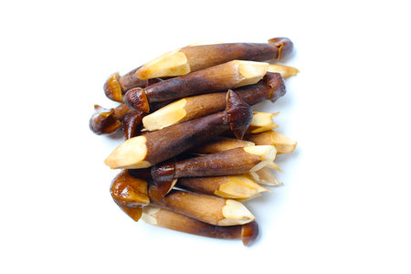Termite mushrooms with long stems, white tips, and dark brown caps.