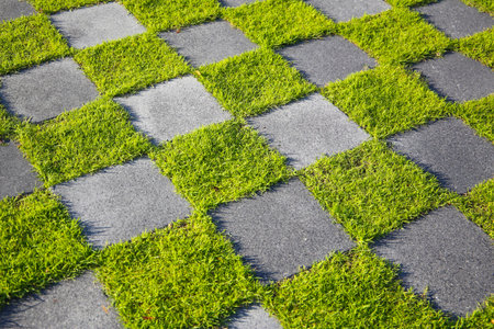 Patterned grass and concrete walkway forming a checkerboard design in outdoor sunlight.の写真素材