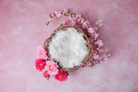 Flower digital background for newborn imageの写真素材