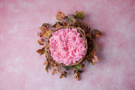 Flower digital background for newborn imageの写真素材