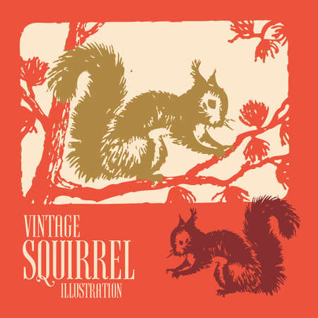 Squirrels vector illustration on red background.のイラスト素材