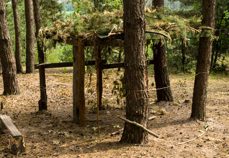 Wooden arbor with camouflage in the pine forest