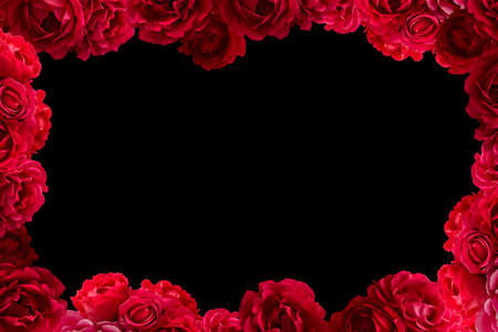 Frame with bush of red rose flowers background isolated on blackの写真素材