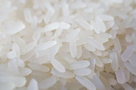 White rice macro photoの写真素材
