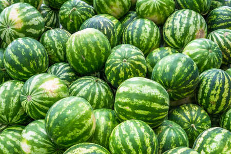 Screensaver from heap of bright green watermelonsの写真素材