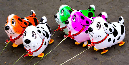 Colorful balloons in form of dogs on leashの写真素材