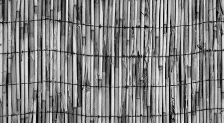 Texture of wall of bound bamboo black and whiteの写真素材