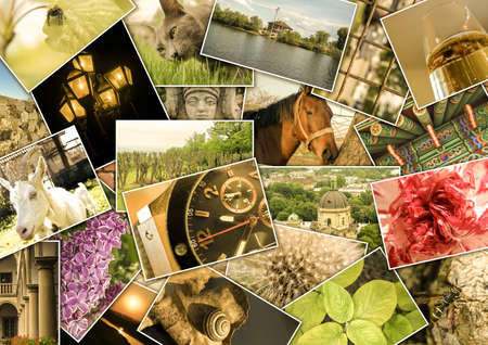 Mosaic collage with pictures of different places, landscapes, flowers, insects, objects and animals shot by myselfの写真素材