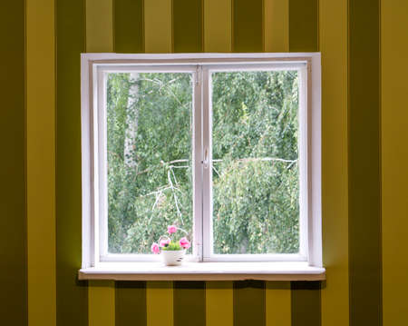 Old white wood window in striped brown and yellow wall