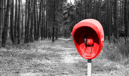 Pillar with red public telephone set in the pine forest black and white styledの写真素材