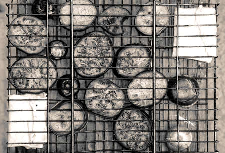 Contrast grill grid with fried zucchini, onion and pita bread with cheese black and whiteの写真素材