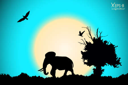 Sunrise in the jungle with old tree, birds and elephant. Vector backgroundのイラスト素材