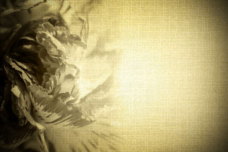 Sweet color rose in blur style on old cloth texture retro high contrasted with vignetting effectの写真素材