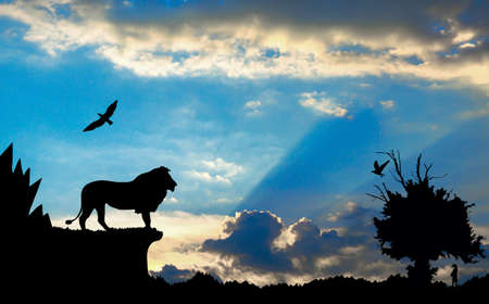 Jungle with mountains, old tree, birds lion and meerkat on blue cloudy sunset backgroundの写真素材