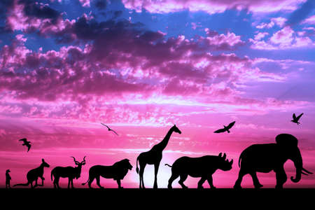 Silhouettes of animals on purple cloudy sunset backgroundの写真素材