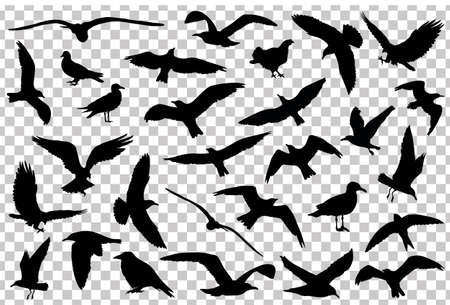 Set of birds silhouettes isolated. Vector illustrationのイラスト素材