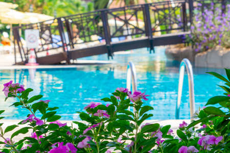 Summer background. Green tree leaves and flowers. Vacation concept. Summer holidays background. Swimming pool. Vivid HDR photoの写真素材