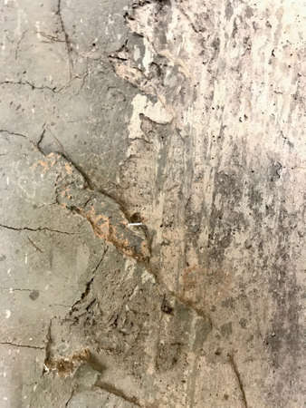 An old Rough floor is made from cement, concrete and sand. It has a hard , dirty and damage  surface. white ruined industrial brick wall with copy spaceの写真素材