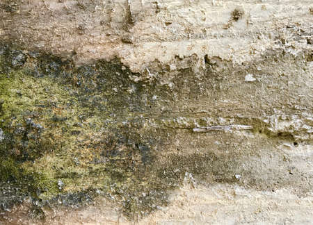 An old Rough floor is made from cement, concrete and sand. It has a hard , dirty and damage  surface. white ruined industrial brick wall with copy spaceの写真素材