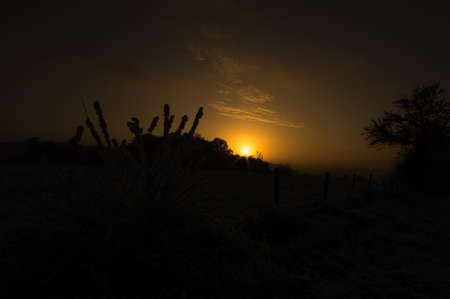 Sunset of a frosty winter day in western germanyの写真素材