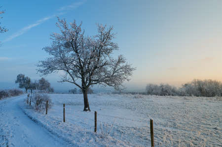 Sunset of a frosty winter day in western germanyの写真素材