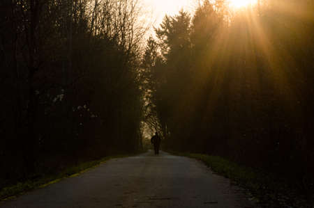 Man on a lonely road into sunsetの写真素材