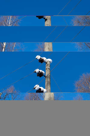 snow covered telephone pole blue sky backgroundの写真素材