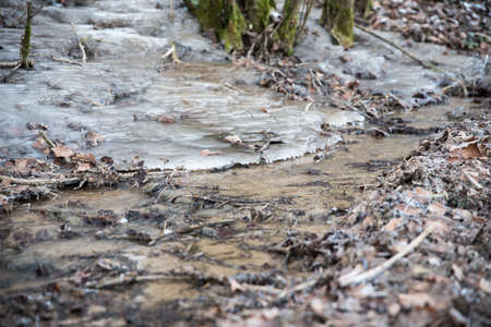 frozen creek in winter forestの写真素材