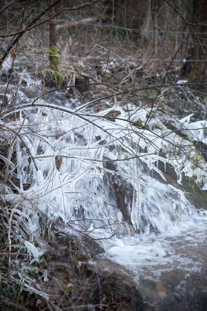 frozen creek in winter forestの写真素材